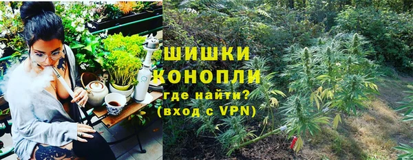 сатива Алексин