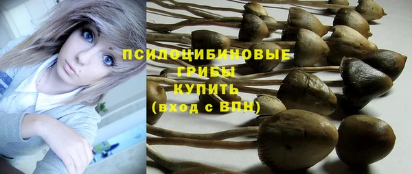 индика Алексеевка